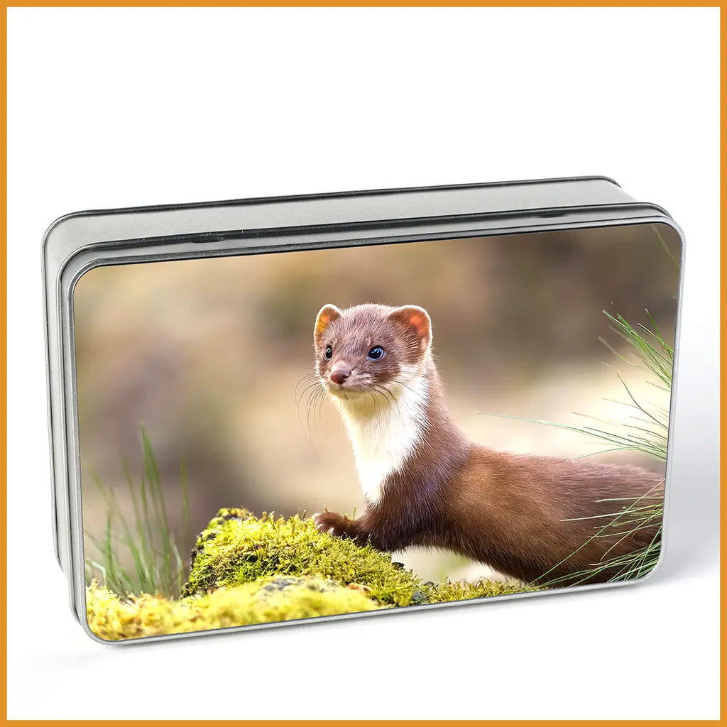 Rectangular metal gift box