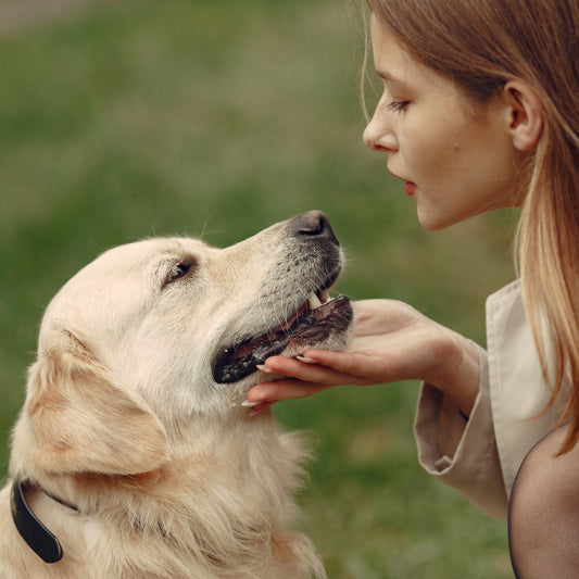 La communication animale s’effectue sous forme de télépathie entre un animal et un humain, sur cette photo un chien et une jeune femme communiquent
