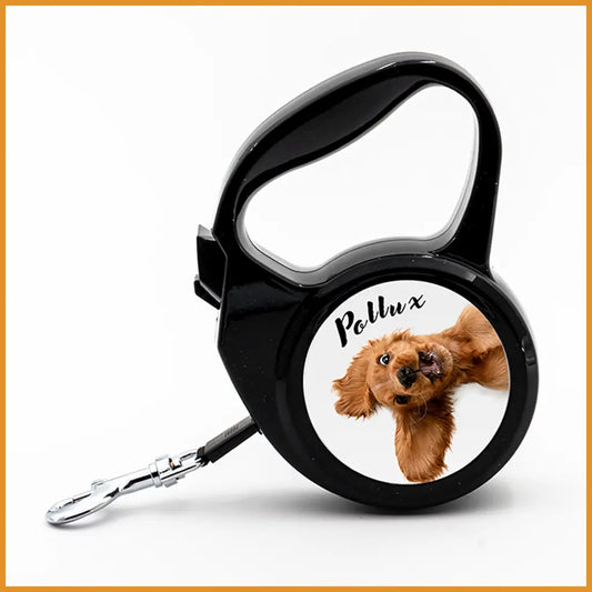 Laisse de chien extensible