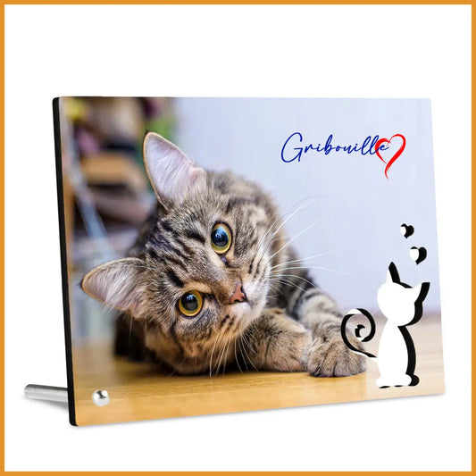 Cadre "chat"